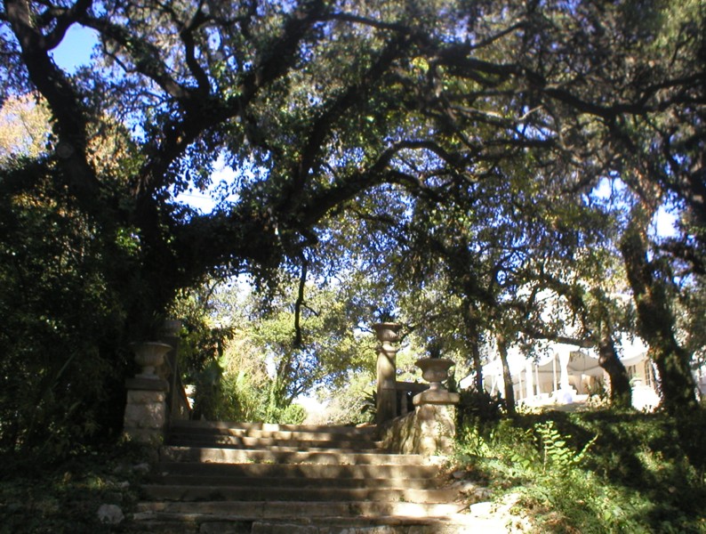 stairs into back yard from Path to the Point.JPG